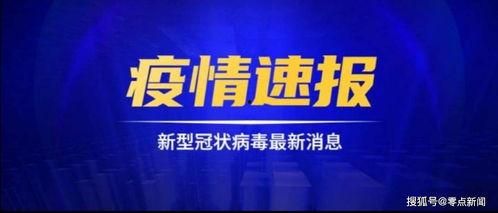 鼎丰集团爆料事件视频最新,事件最新进展与内幕曝光  第3张