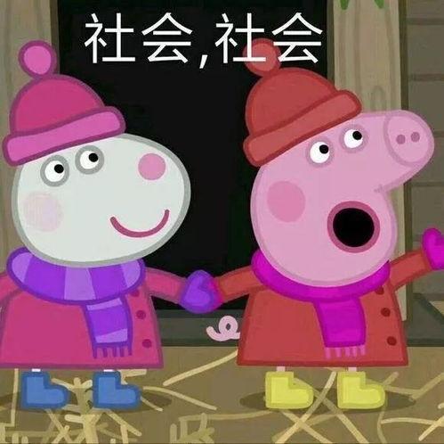 爆料小猪先生抖音视频,小猪先生爆笑视频幕后故事  第3张